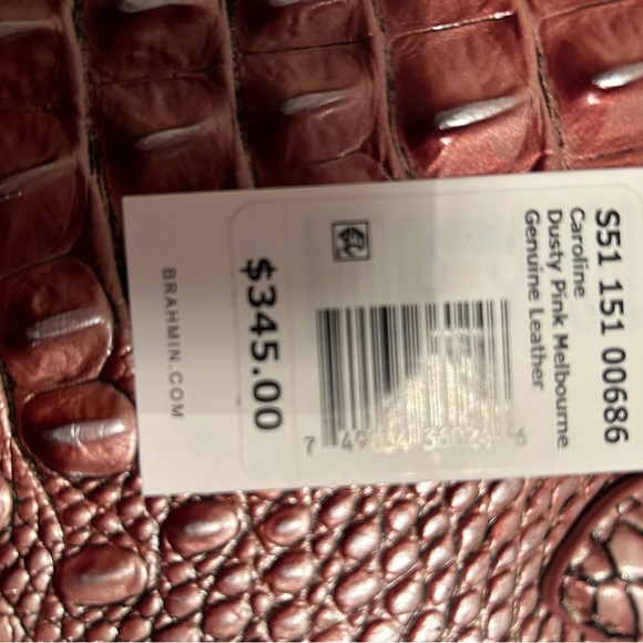 Brahmin - Picture 4 of 7